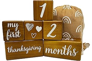 Baby's First Holiday Milestone Wood Blocks