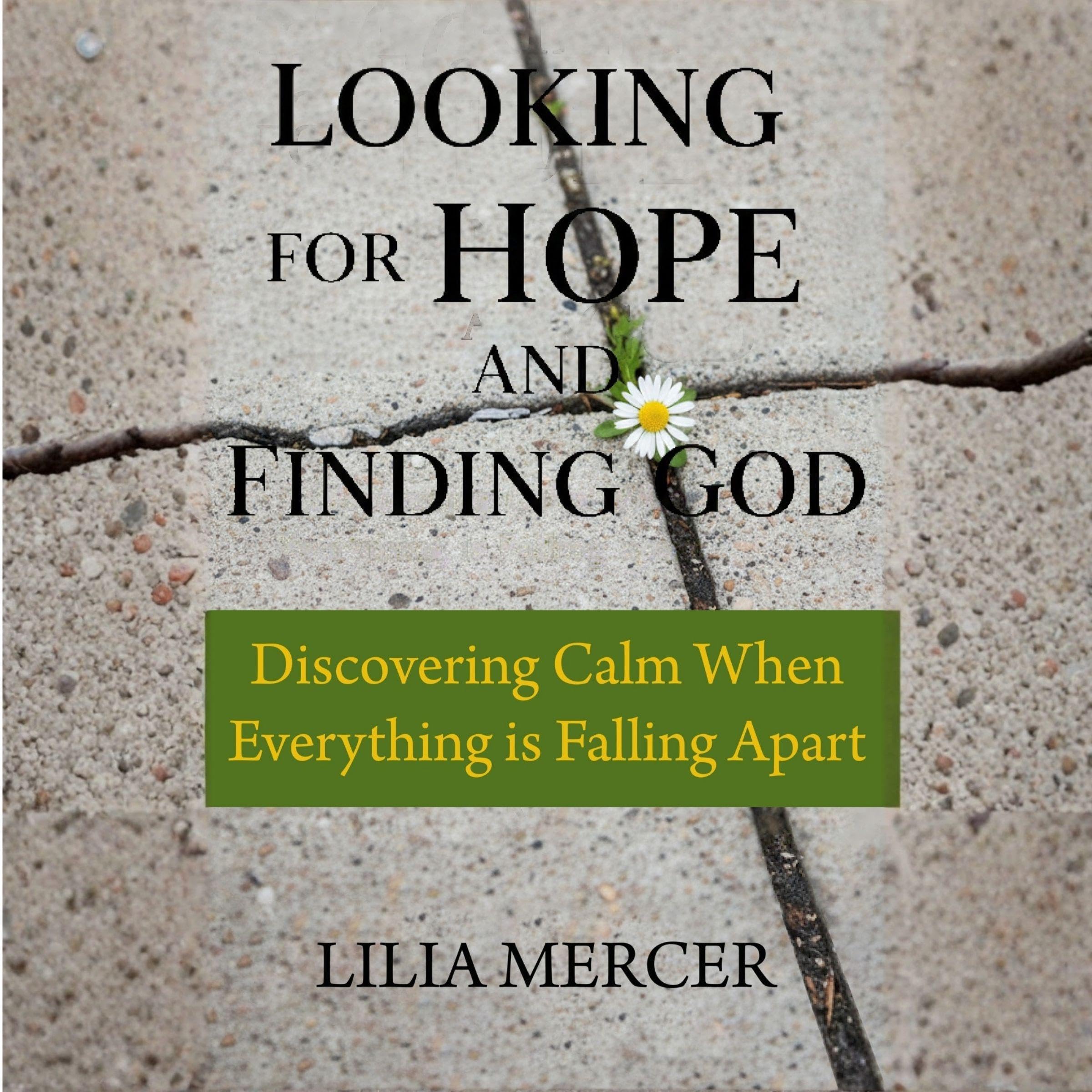 Cover art for Looking for Hope and Finding God