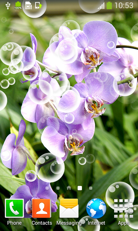 Orchid Live Wallpapers - App on Amazon Appstore