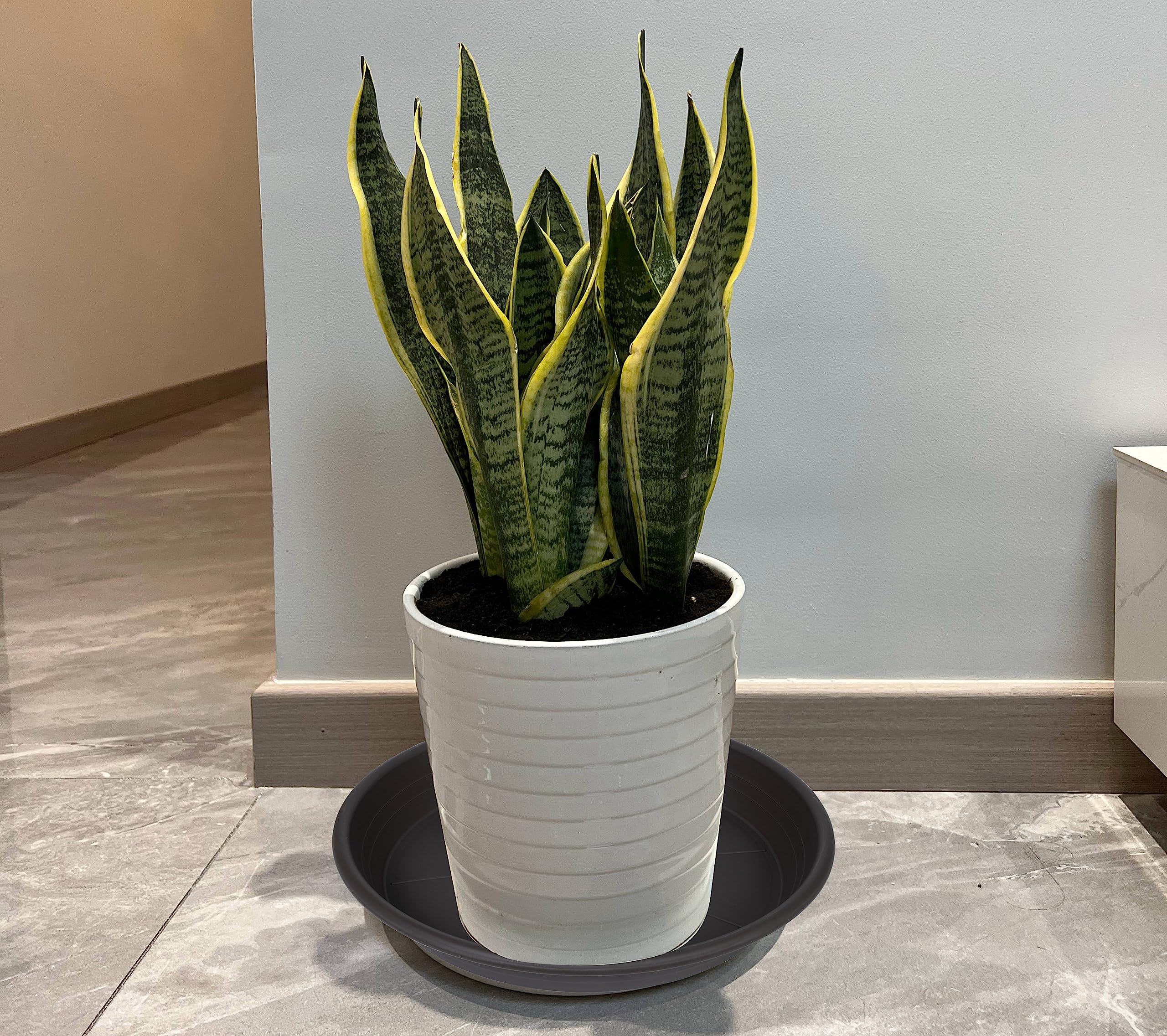 Confezione da 2 sottovasi per piante da 15,5 a 20,5 cm, 25,4 cm, 30,5 cm, 30,5 cm, 40,6 cm, 40,6 cm, 50,8 cm, in plastica, per interni ed esterni, resistente e durevole, 35,5 cm, colore: