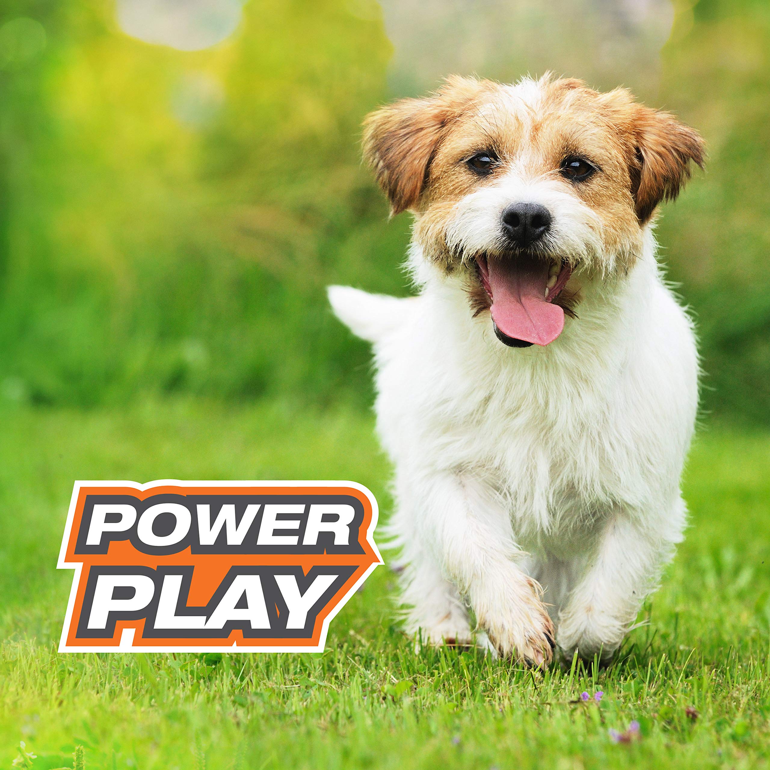 Nylabone Power Play Interaktives Apportierspielzeug für Hunde l Bereicherung Hundespielzeug für das ultimative Spielerlebnis