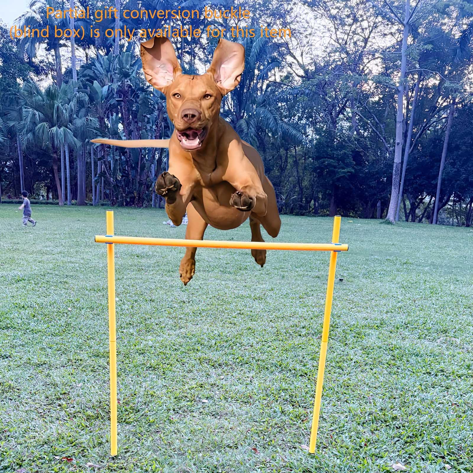 Set di attrezzature per l'agilità del cane, corsa ad ostacoli all'aperto con 6 aste intrecciate e barra di salto regolabile, fibbia di conversione parziale regalo (scatola cieca), giallo
