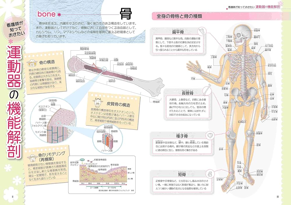 これならわかる! 整形外科の看護ケア (ナースのための基礎BOOK