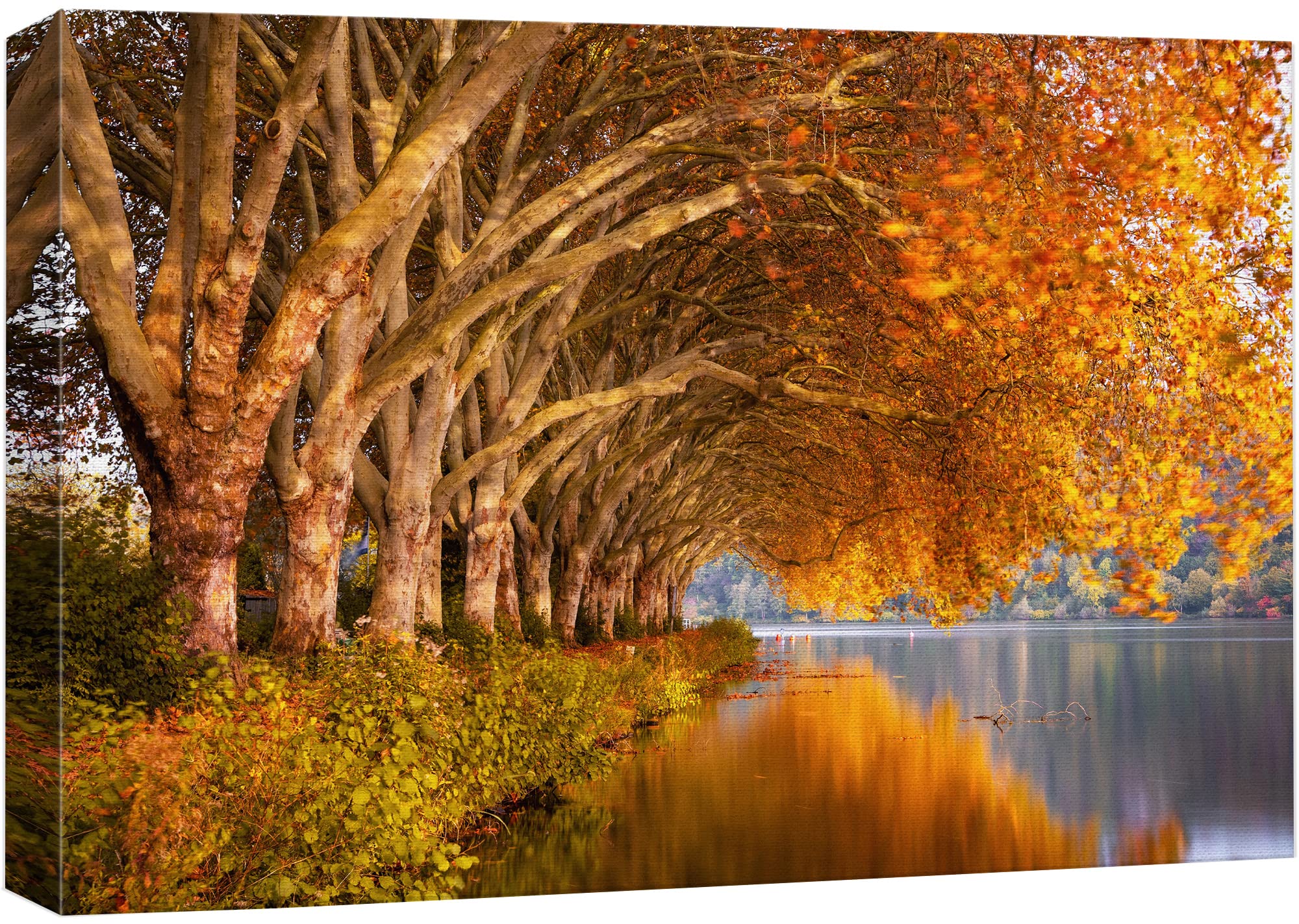 Amazon.com: wall26 Canvas Print Wall Art Autumn Fall Orange Leaf
