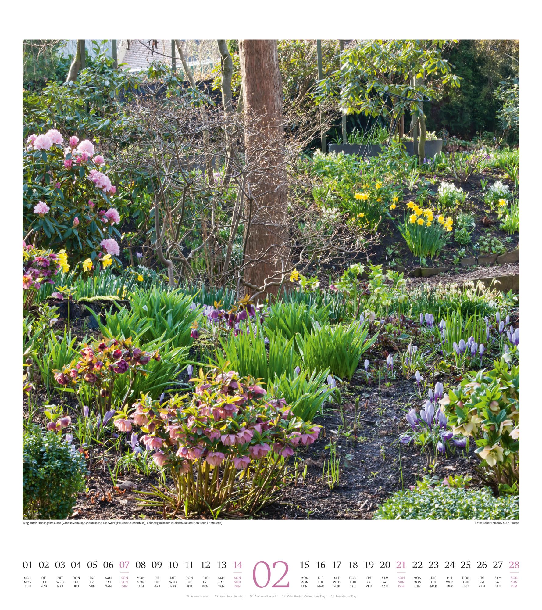 Paradiesische Gärten Kalender 2027 48x54 cm Hochformat Garten-Kalender