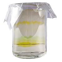 Vista 2 de ALDON Kit de cromatografía científica innovadora de pigmentos vegetales