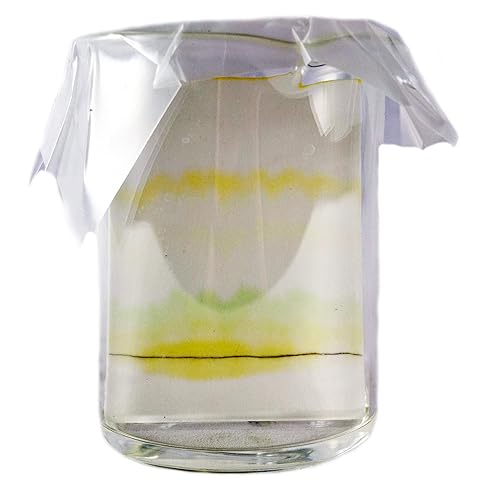 Miniatura 2 de ALDON Kit de cromatografía científica innovadora de pigmentos vegetales