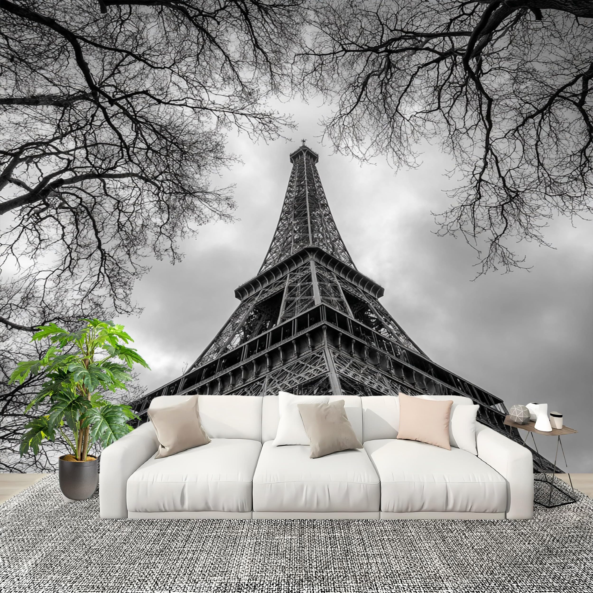 Papier Peint Photo Tour de Fer 400x280 cm Noir et Blanc Inodore