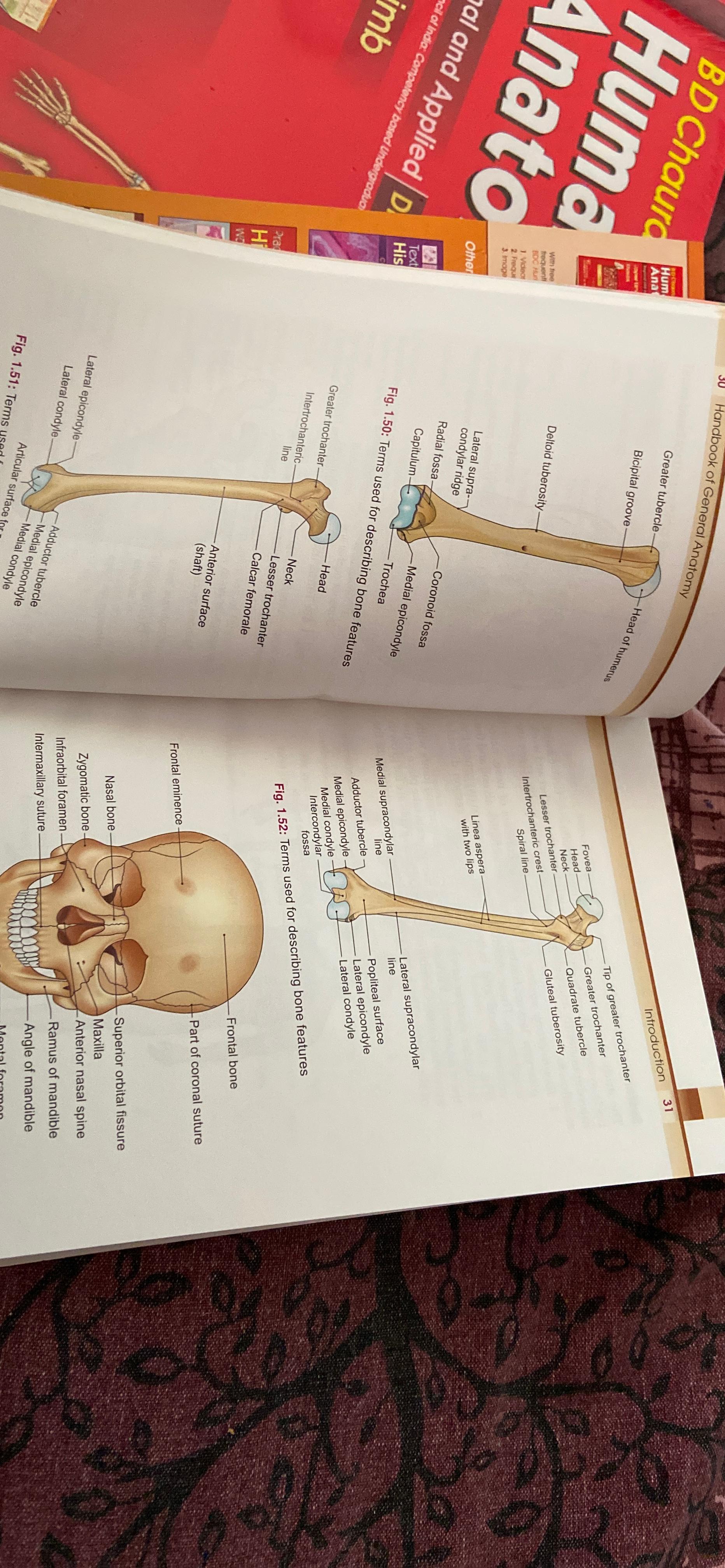 Buy Old Edition - Handbook of General Anatomy Chaurasia B. D and ...