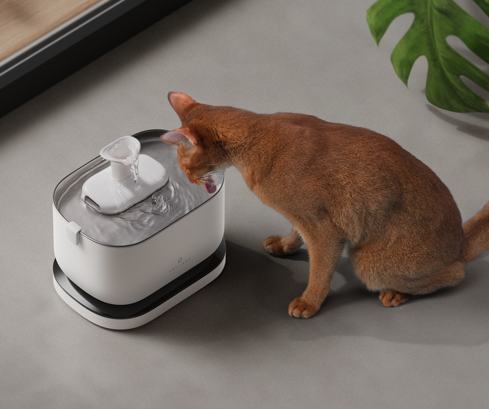 PETLIBRO 猫 水飲み器 自動給水器 コードレス 2WAY給電 3L大容量 Amazon.co.jp: PETLIBRO 猫 水飲み器 自動給水器 コードレス