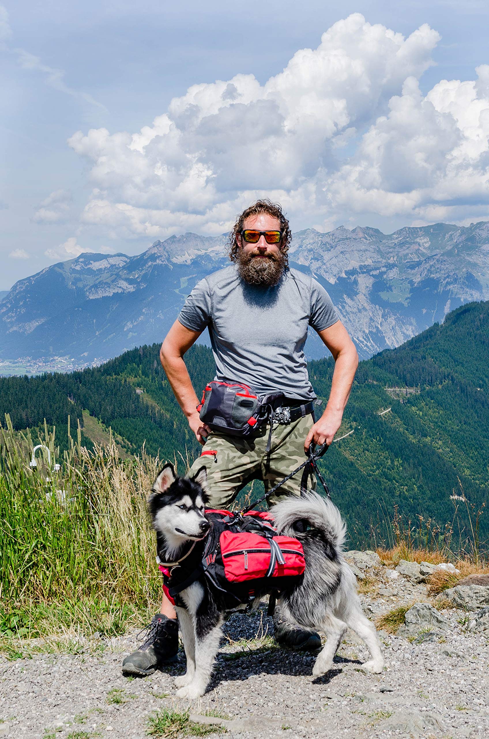 iEnergy™ Mal Sac à Dos pour Chien : équipement de randonnée rembourré résistant aux intempéries, idéal pour Les Grands et Petits Chiens, Sac de Voyage pour Chiens avec Harnais de randonnée, Taille M