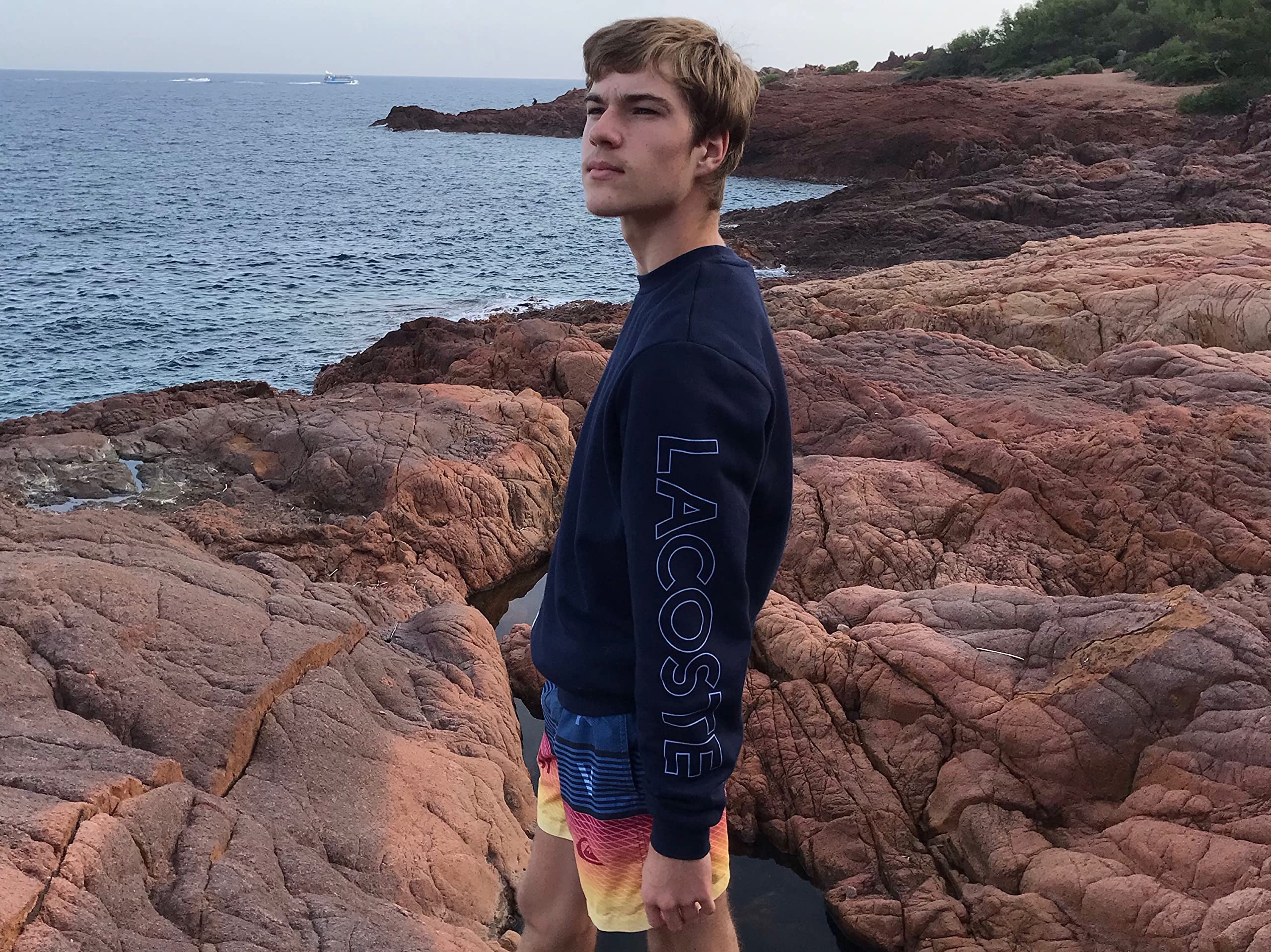 Animaux Et Paysage La Chaine