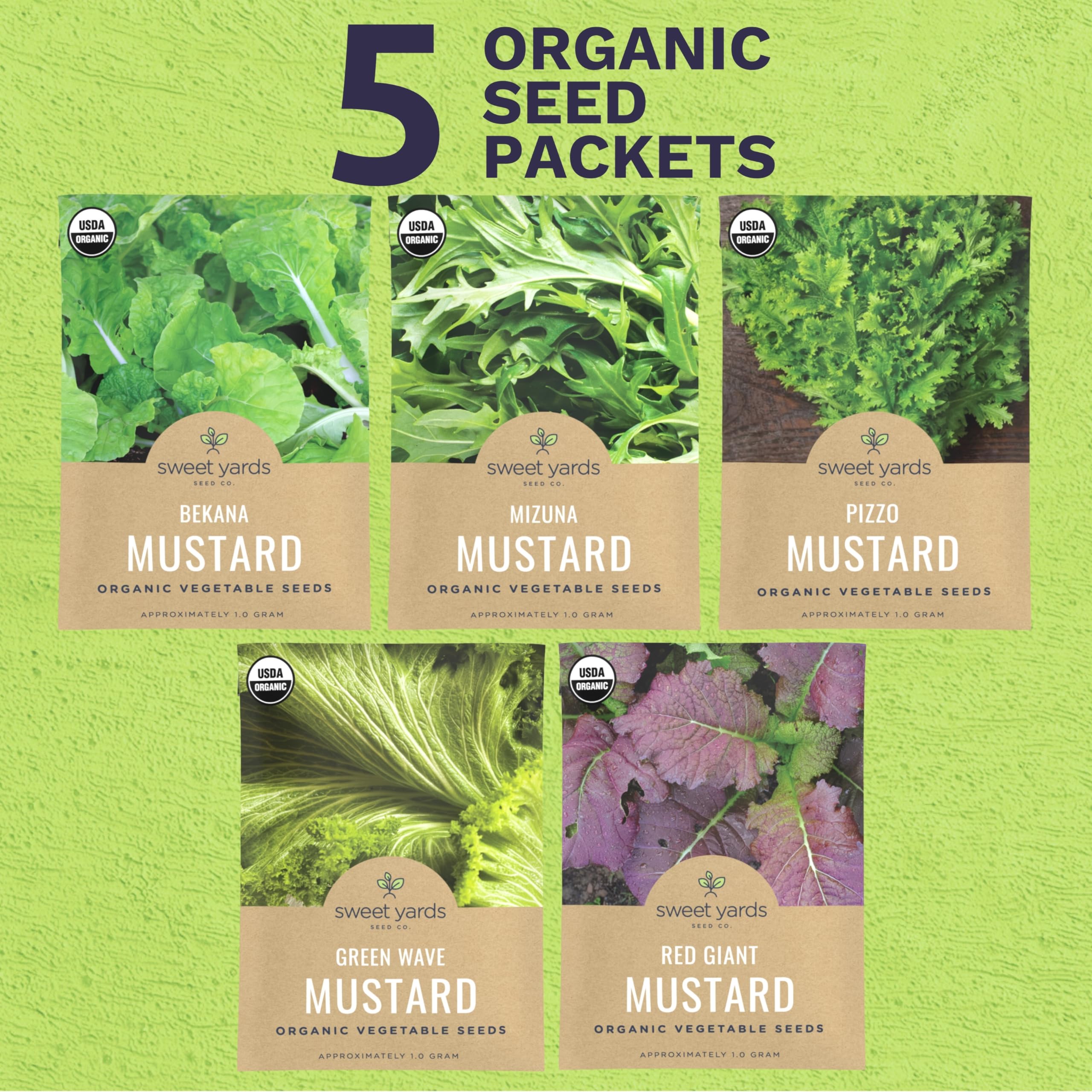 The Mustard Seeds ☆III Amazon.com : Black Mustard seeds 7 oz : Grocery & Gourmet Food