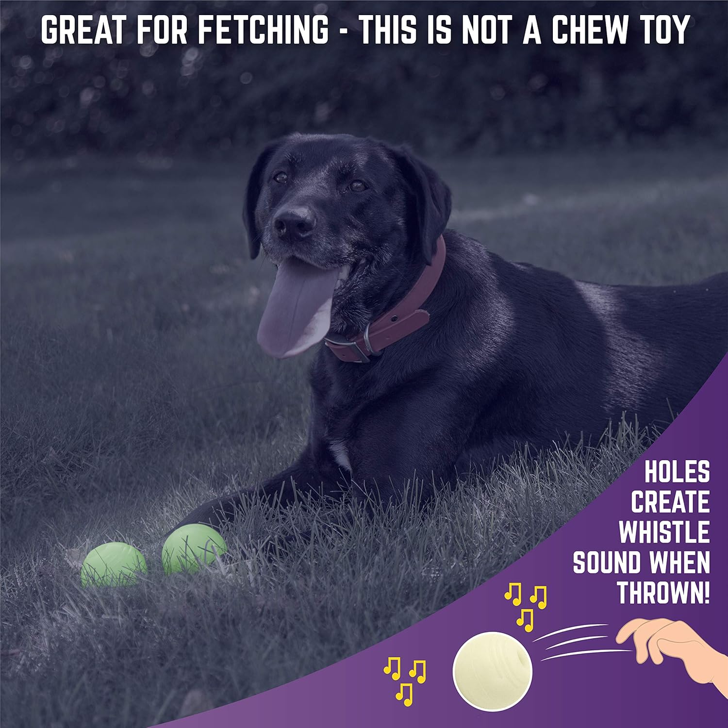 Pet Supplies : Chew King 2 Piece Glowing Fetch Ball : 