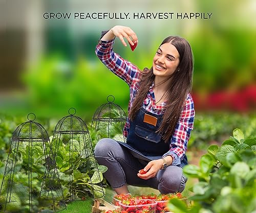 Miniatura 6 de boldworks Cloches de jardín para plantas, jaulas de alambre de pollo para proteger de los animales al aire libre, extra grandes, a prueba de óxido,