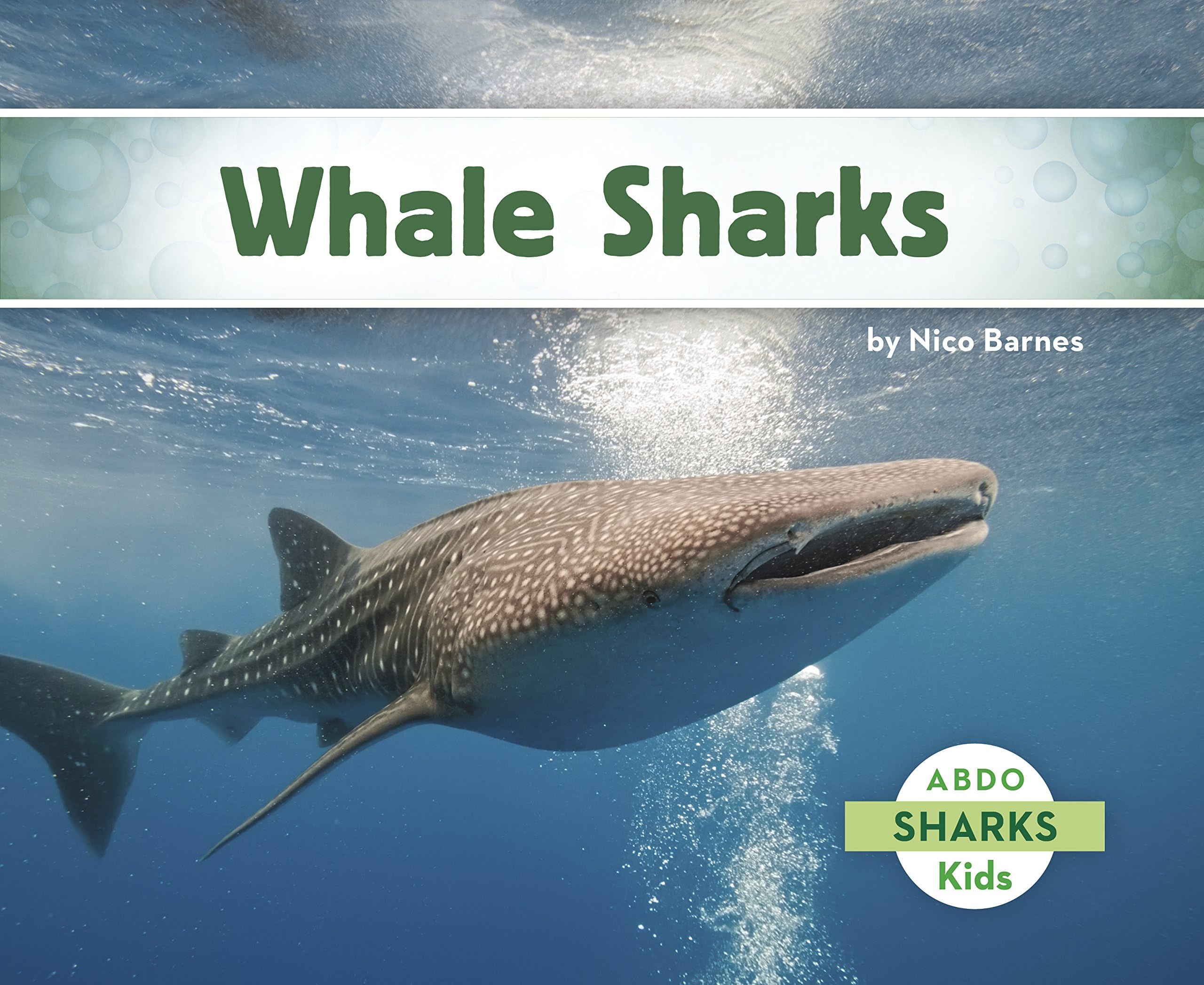 Whale Sharks Hardcover – August 1, 2016