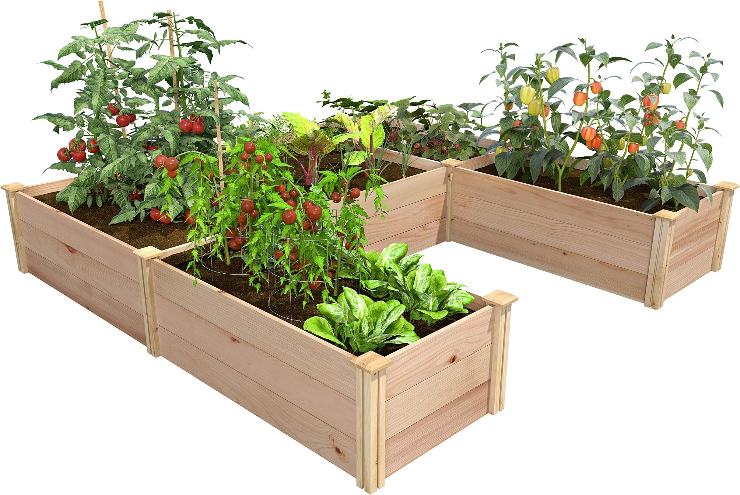 Greenes Fence Premium Cedar Raised Garden Bed, 8' x 8' x 16.5" U-Shaped Bed - Made in USA with North American Cedar