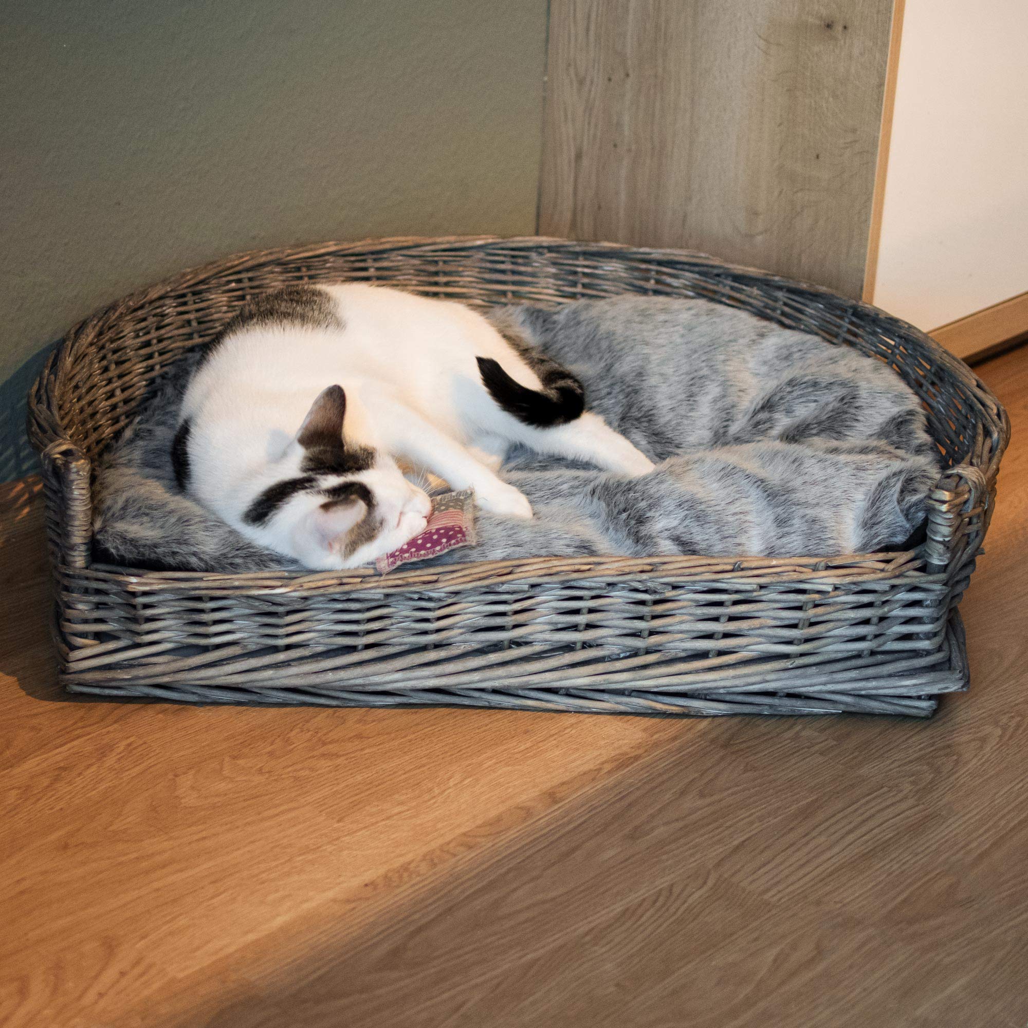 RM E-Commerce, lettino per cani, cesta in vimini misura S–XL con cuscino grigio, per cani di grande e piccola taglia