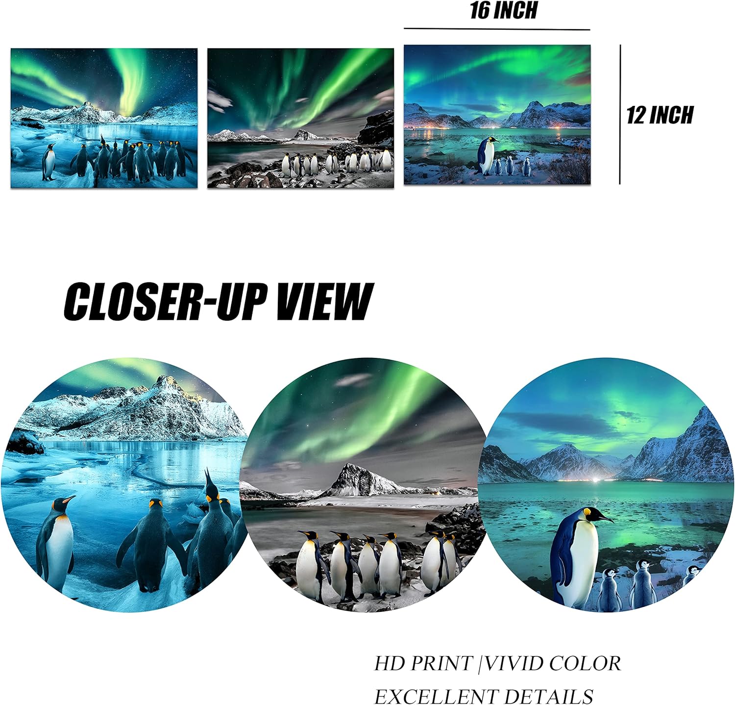 FuShvre Penguin Wall Art Penguin Pictures for Bedroom Kids Room Aurora Borealis Wall Decor Green Framed 12"x16" (Small)