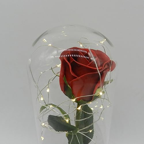 Miniatura 5 de CVHOMEDECO. Funciona con pilas con temporizador LED iluminado y rosa de poliuretano roja con pétalos caídos en una cúpula de cristal, gran regalo