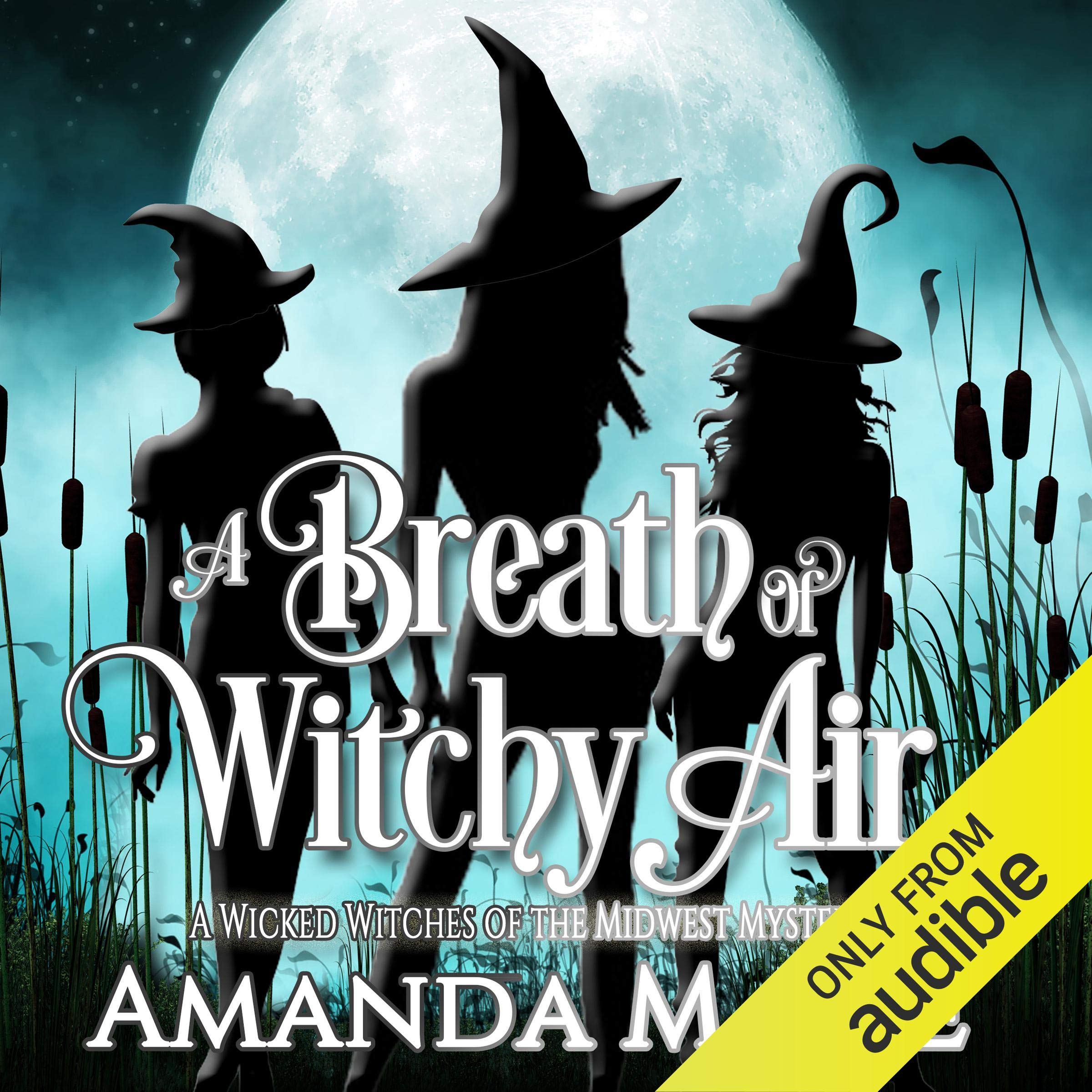 Cover art for A Breath of Witchy Air