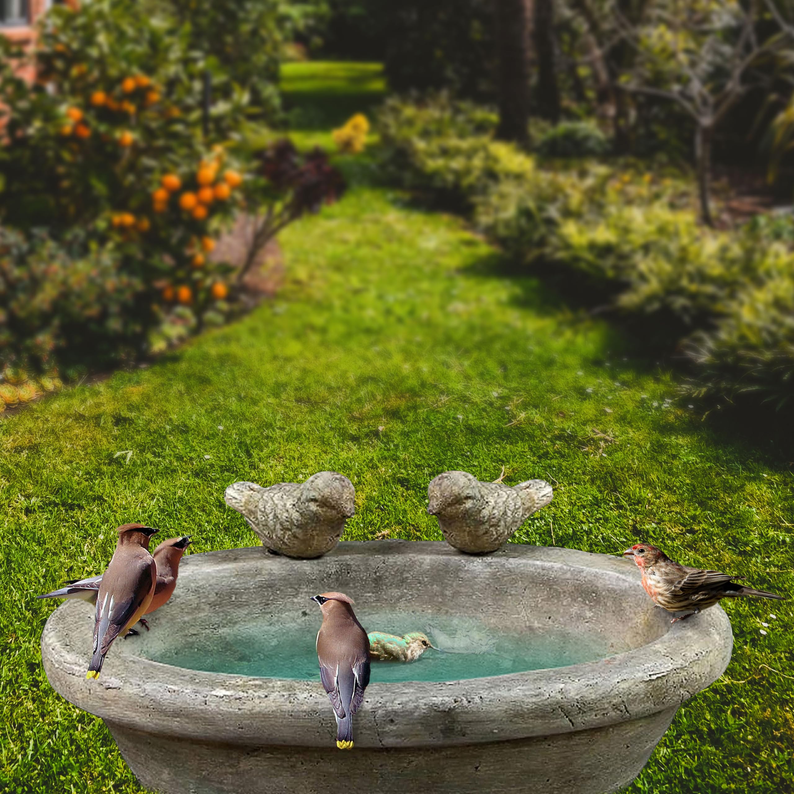 FABRIQ Handförmige Vogeltränke - Zement Vogelbad Für Garten 6kg
