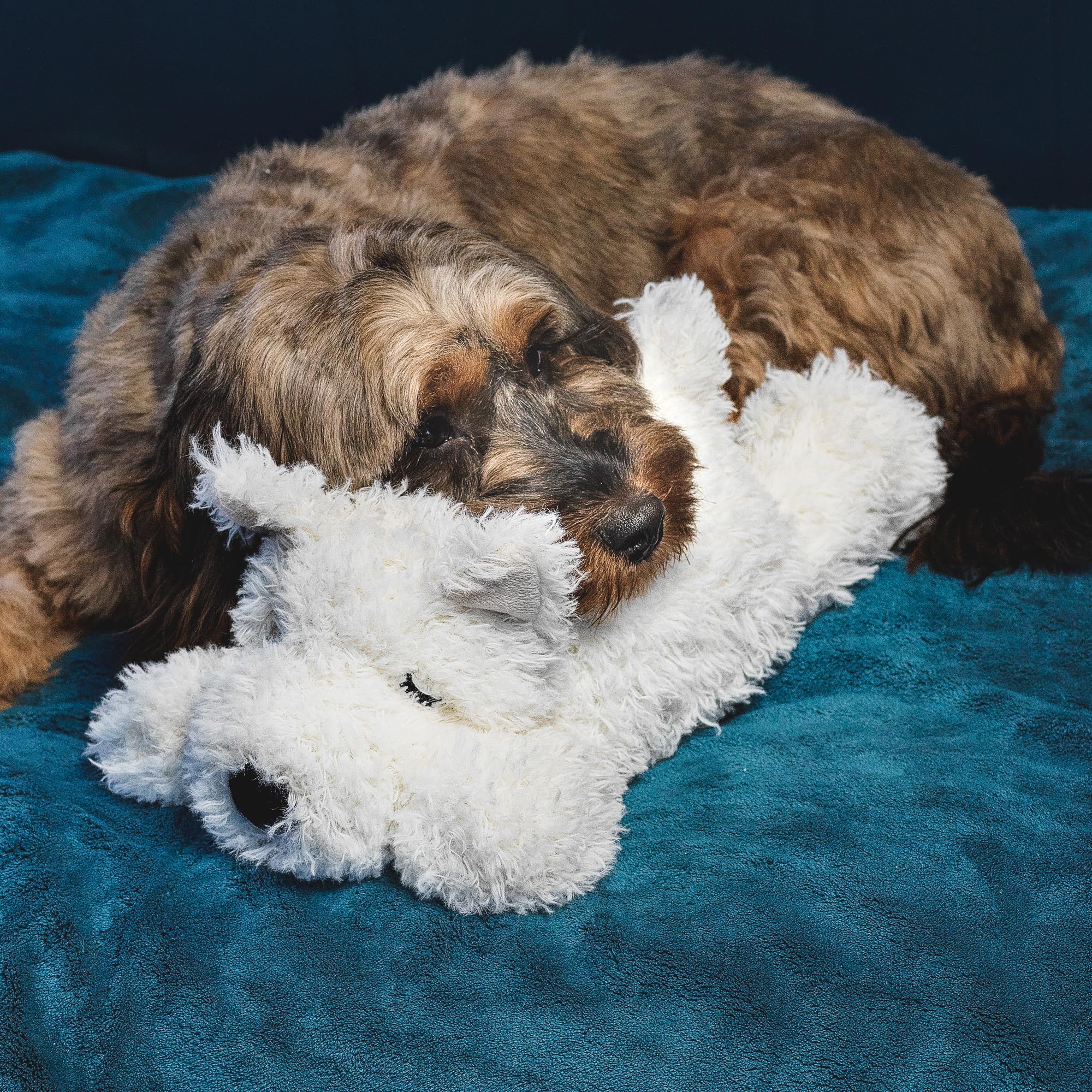 Lucky Paws® UK heartbeat toy for puppy, puppy heartbeat comforter for separation anxiety, calming dog toys - Image 2
