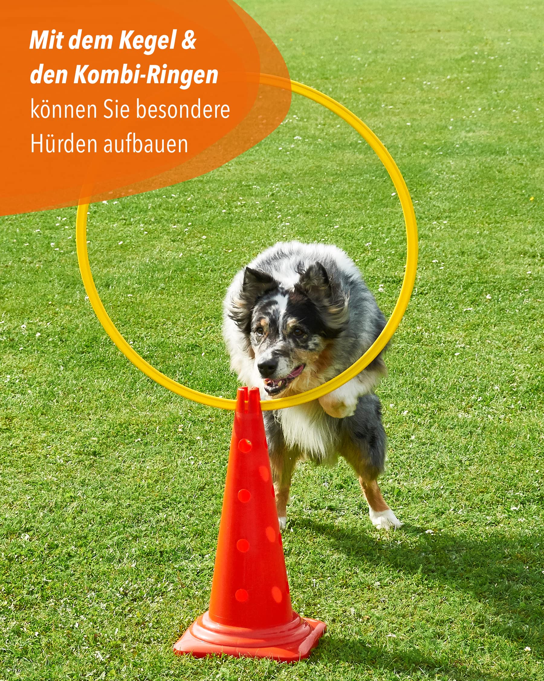 Zestaw stożków kombinowanych 50 cm 4 sztuki do agility psa konia dziecka