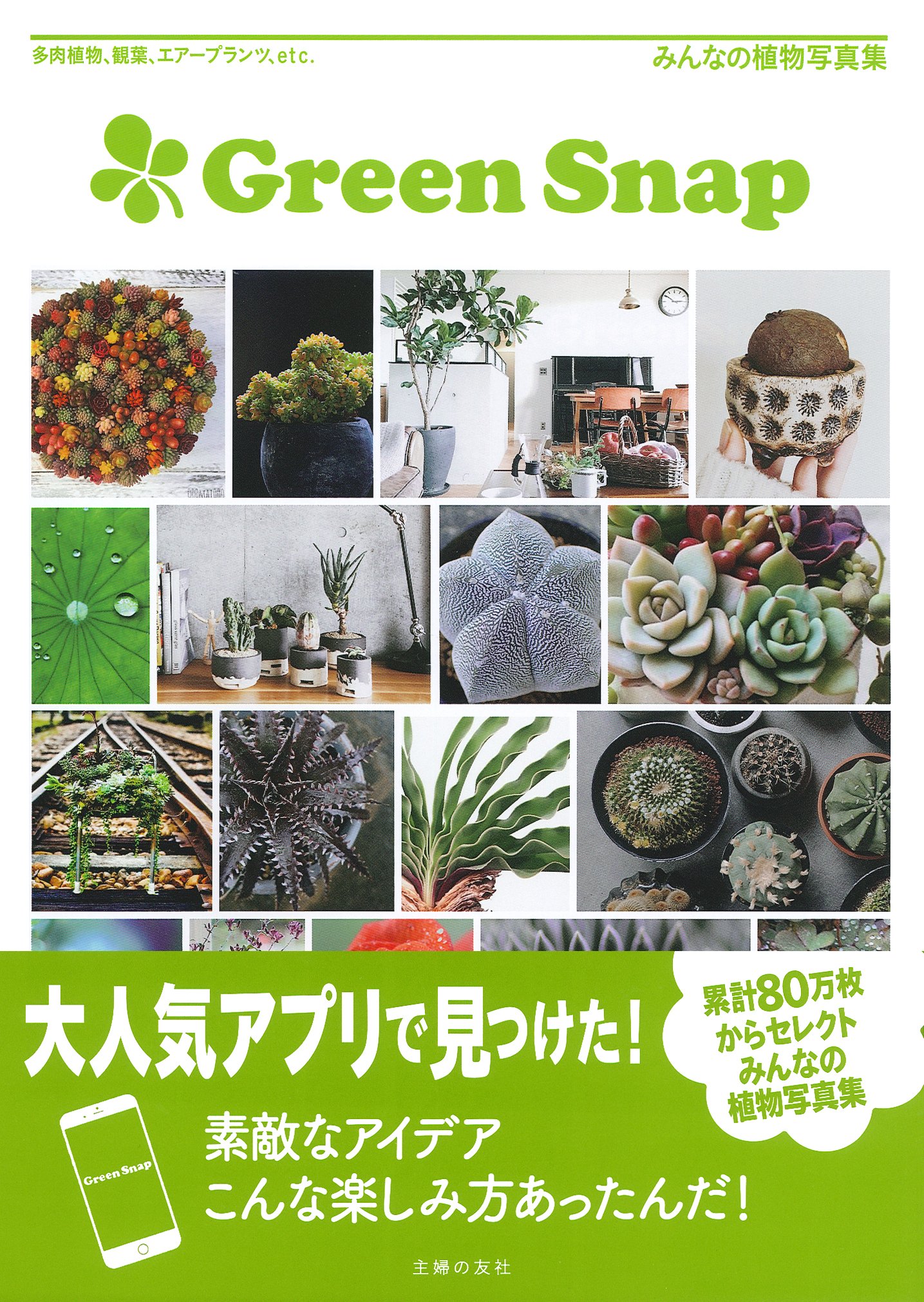 GreenSnap ー 多肉植物、観葉、エアープランツ、etc. みんなの植物写真