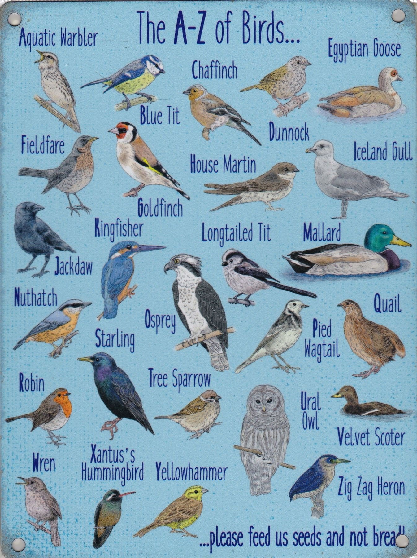 New 15x20cm A-Z of Birds vintage enamel style metal advertising sign