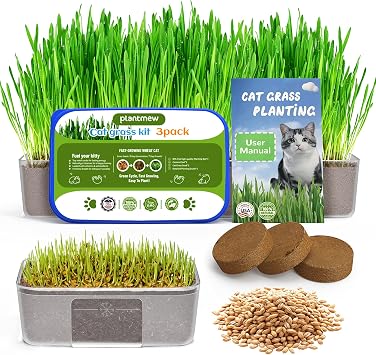 Cat Grass for Indoor Cats 3 Pack Cat Grass Seeds, High Germination | Grows in 3-7 Days, Cat Grass Growing Kit for Hairball Care Wheat Grass for Healthy Cats