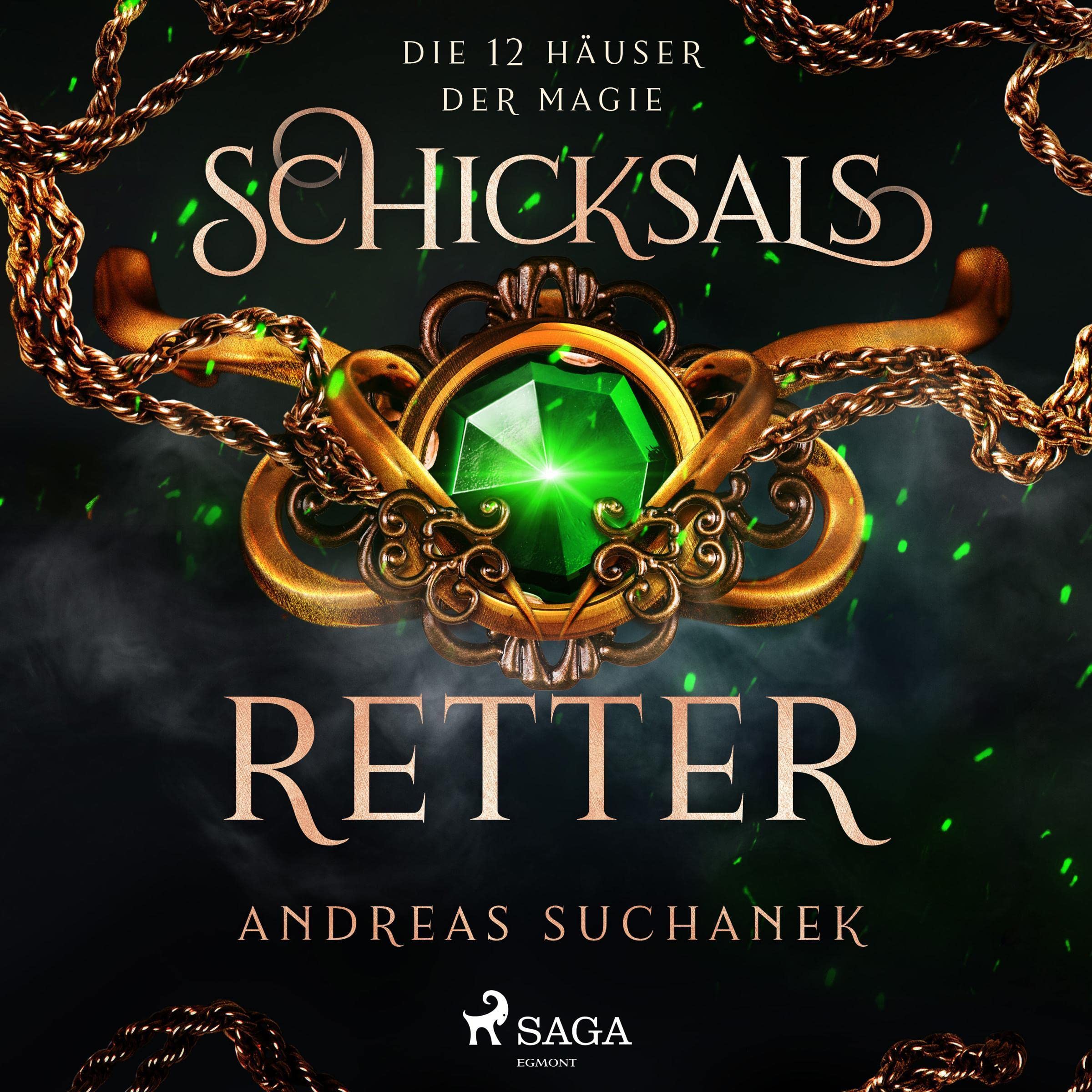 Cover art for Schicksalsretter
