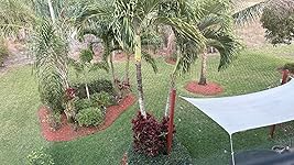 Review Image by crsjose