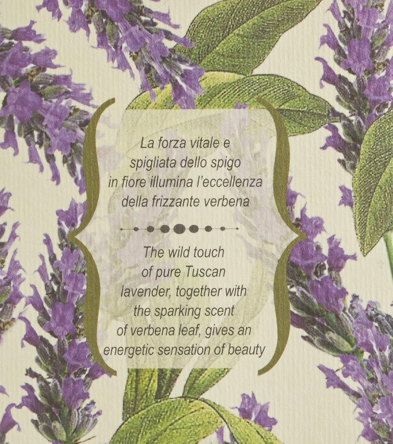 Nesti Dante Romantica Lavender Verbena Scented Candle 160 G Amazon Co Uk Beauty