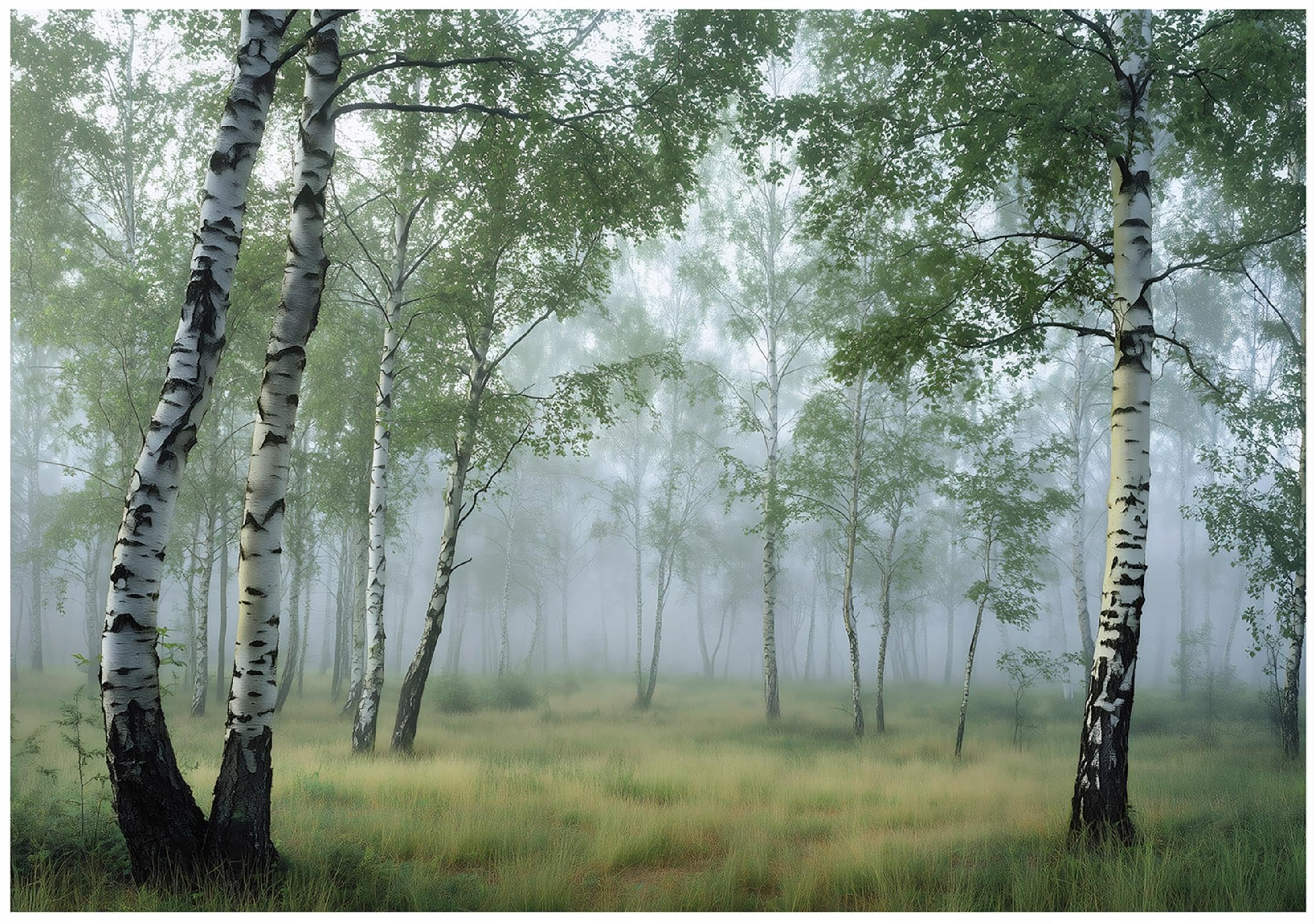 Papier peint panoramique intissé 250x175 cm jungle montagnes forêt salon 3D