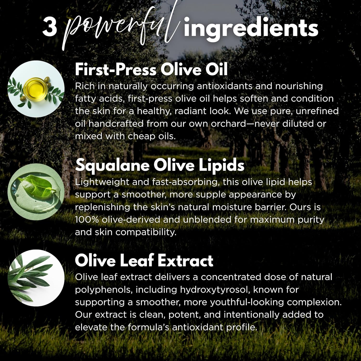 Alpha & Omega Olive Oil Face Serum with Squalane & Olive Leaf Extract | Anti-Aging | Lightweight, Hydrating, Fast-Absorbing Facial Oil | Small-Batch, Natural, Vegan, Hydroxytyrosol - Image 3