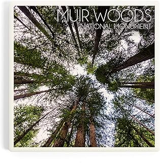 Lantern Press Muir Woods National Monument, California, Photography, Trees Looking Up (Absorbent Ceramic Coaster, Single, Cork Back, Kitchen Table Decor)