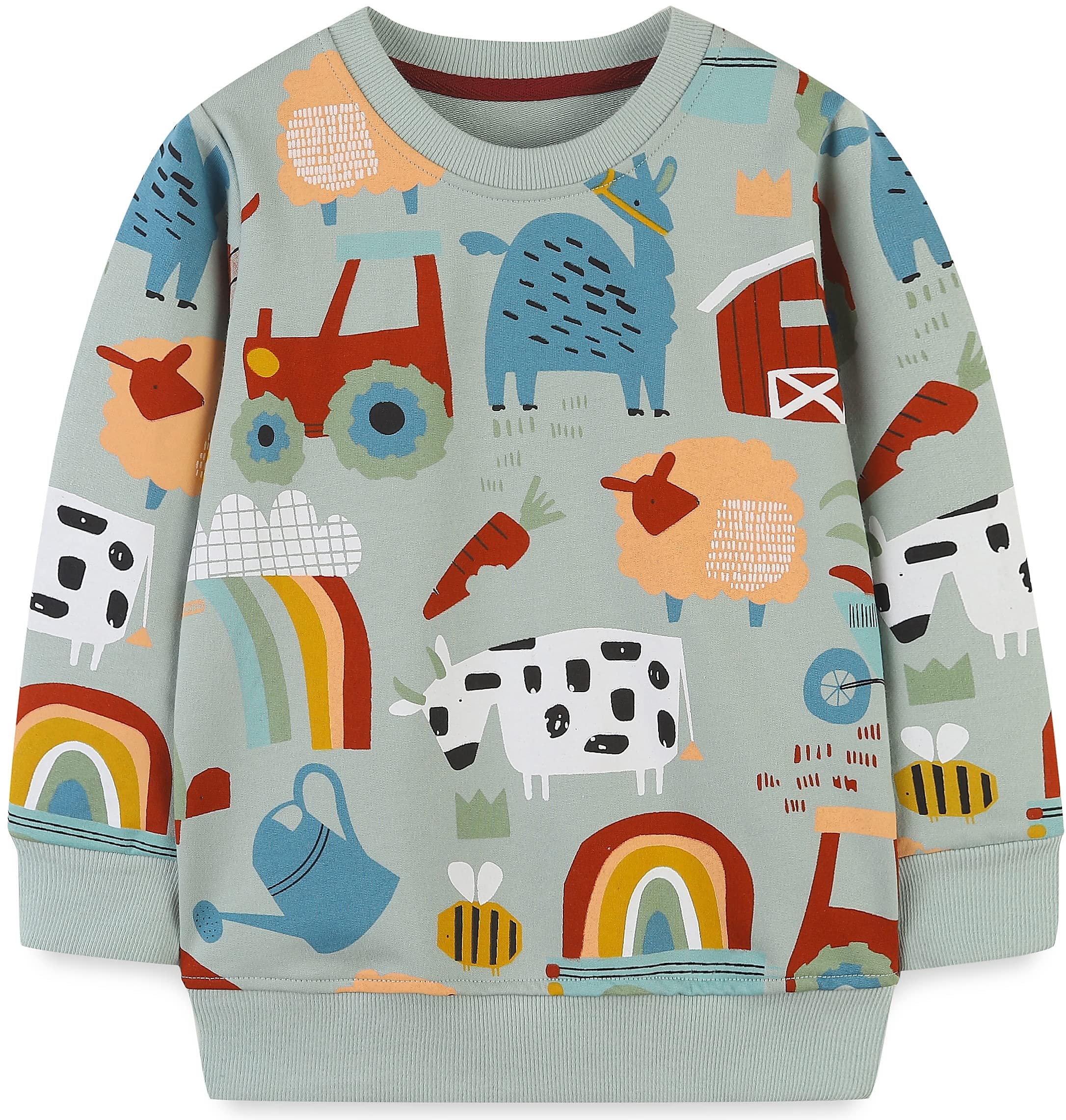 Akyzic Toddler Boys Sweatshirts Cotton Crewneck Truck Shirt Dinosaur Long Sleeve Pullover Tops Tees 2-8T