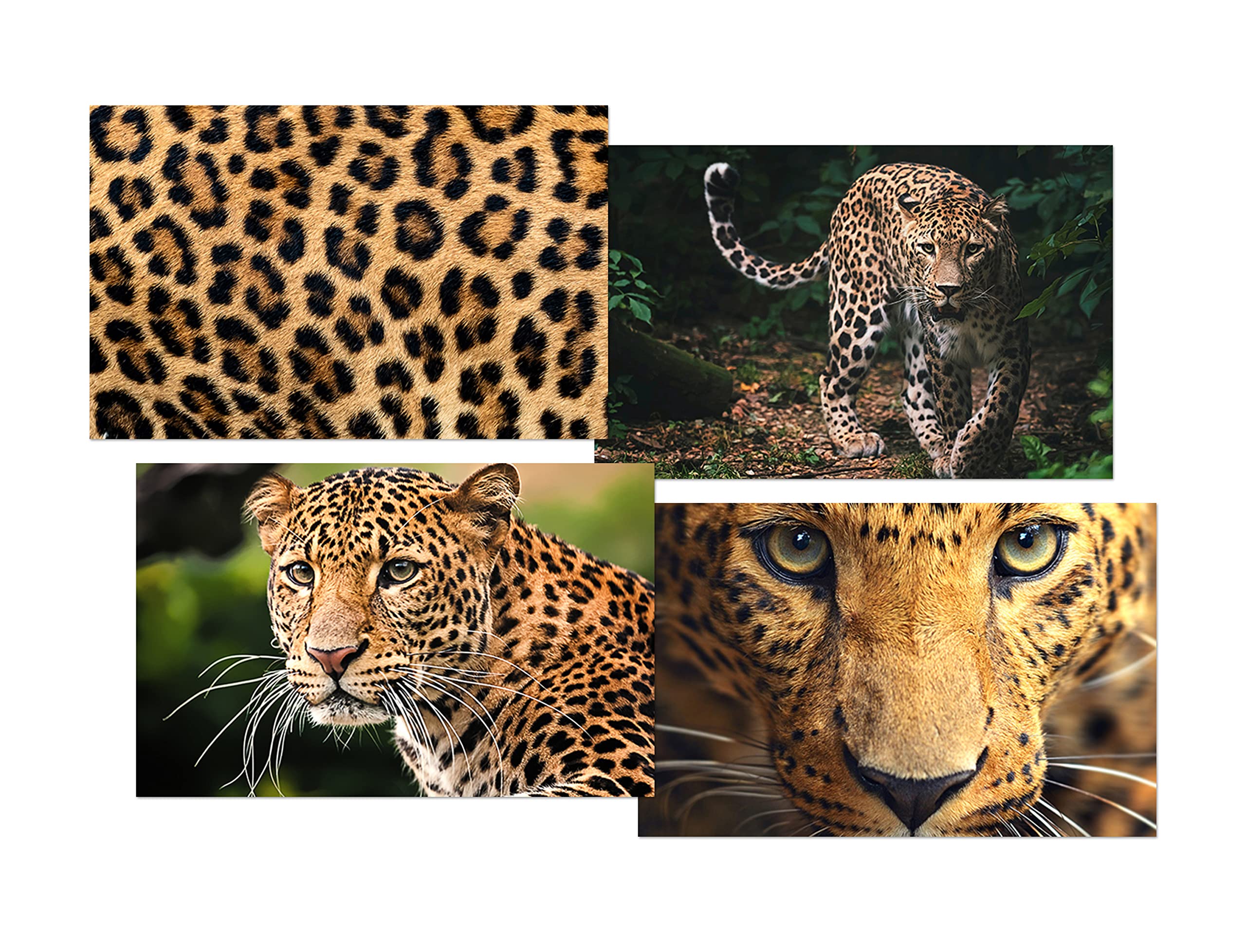 DV DESIGN Set of 4 Leopard Black Ballpoint Pens - Image 2