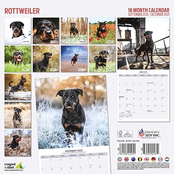 Rottweiler 2025 Traditional Calendar