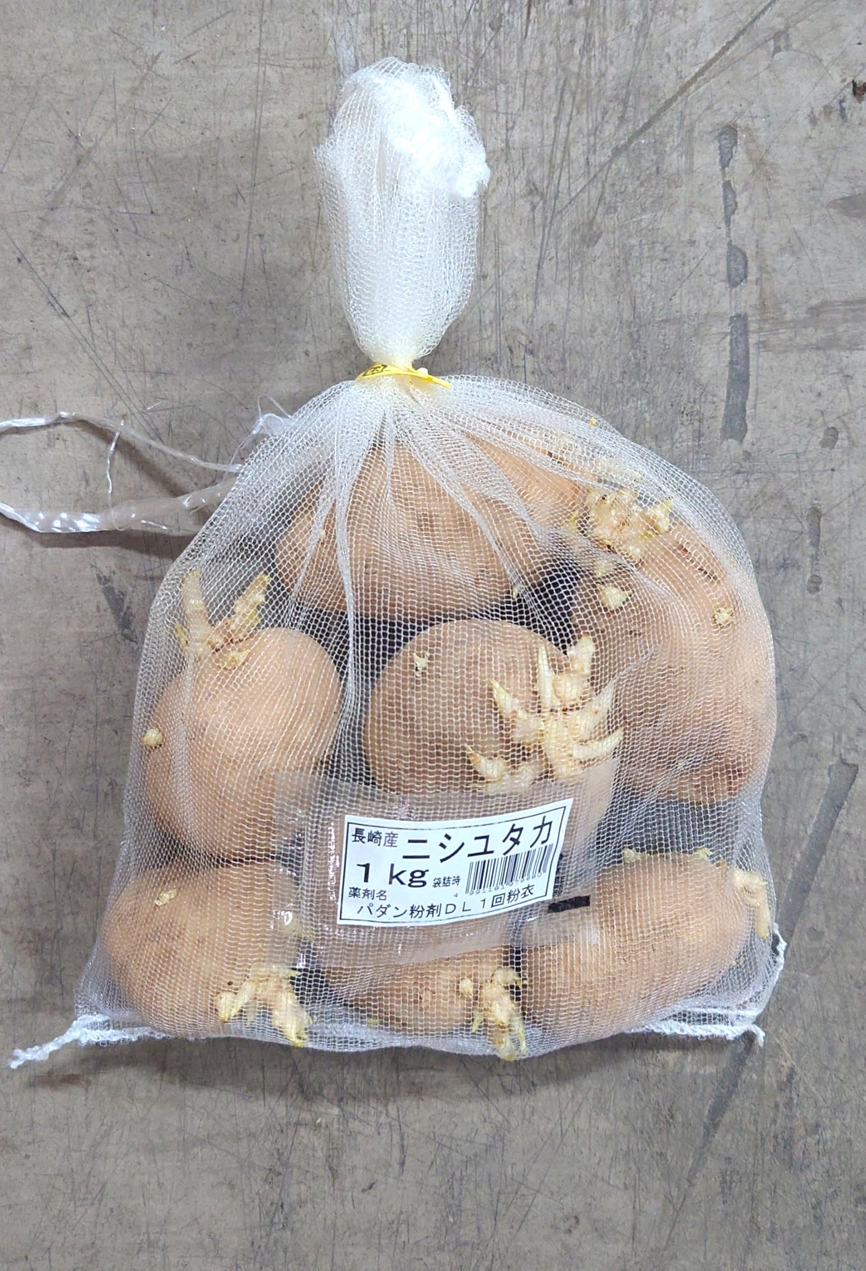 自然薯　種芋　トゥインケル 楽天市場】短形自然薯 種芋 10本入 収穫時の長さ40〜50センチ