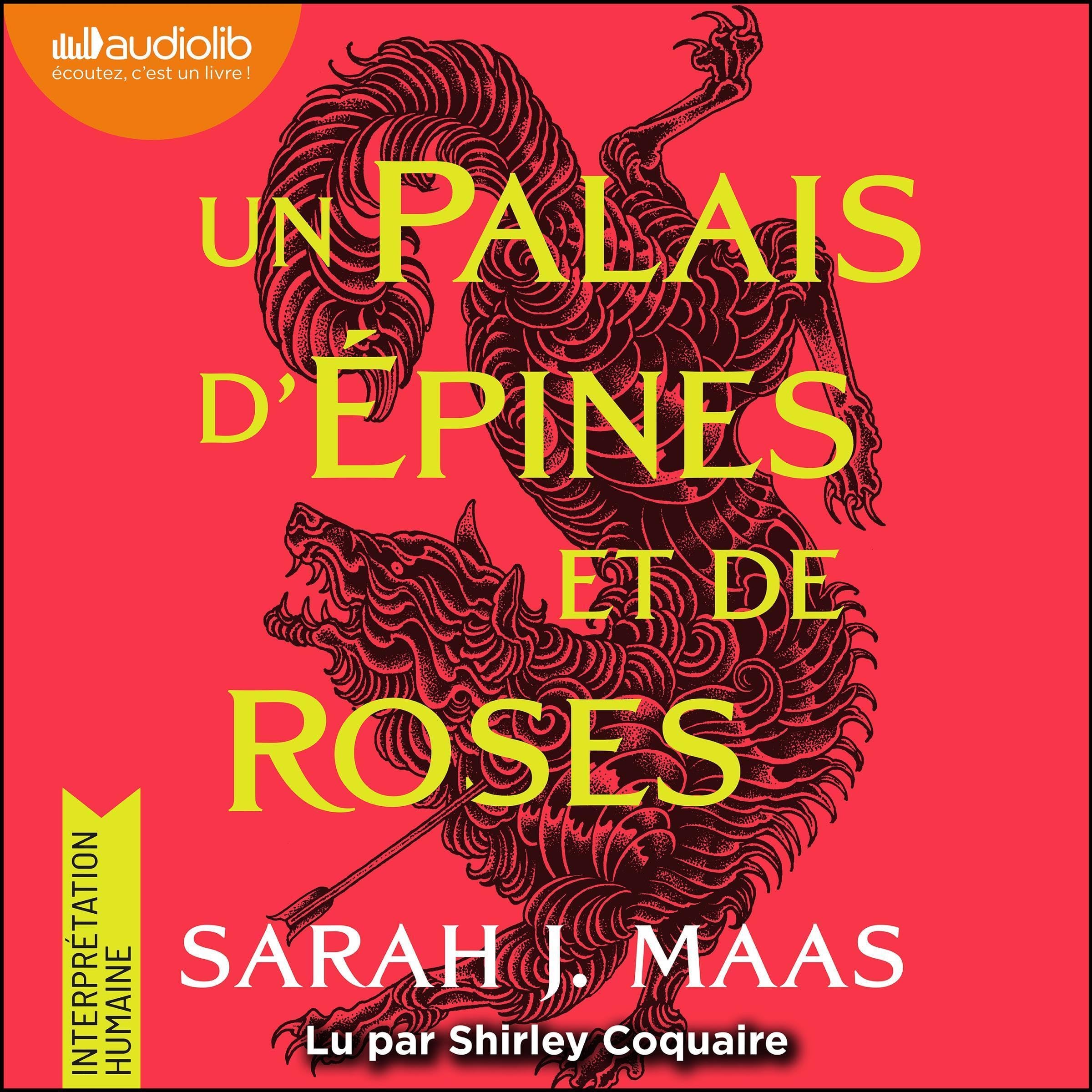 Cover art for Un palais d'épines et de roses