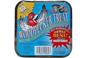 C&S Woodpecker Suet Cakes 11 Ounces, 12 Pack | Spicy Delight for Your Feathered Friends