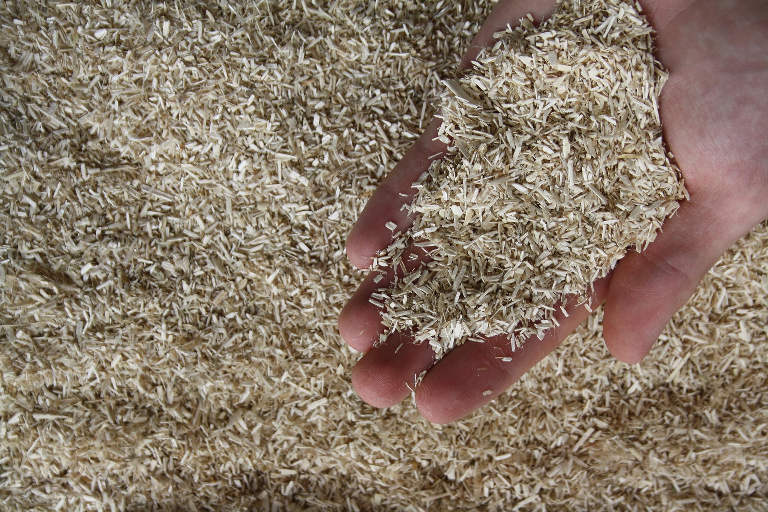 Pferdeeinstreu Einstreu Hanfstreu Power-Hemp Super 80 kg (4 Ballen) – staubarm, über 550% Saugkraft, geruchsbindend für Pferdebox & Stall | Staubarme Hanfeinstreu mit über 550 % Saugkraft und effektiver Geruchsbindung für Pferdeboxen