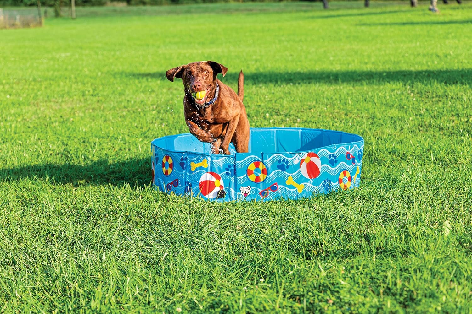 Foldable Dog Pool Collapsible Hard Plastic Pet Swimming Pool Portable Dog Bath Tub Kiddie for Small Medium Dogs Cats Kids 47" Patterned Color
