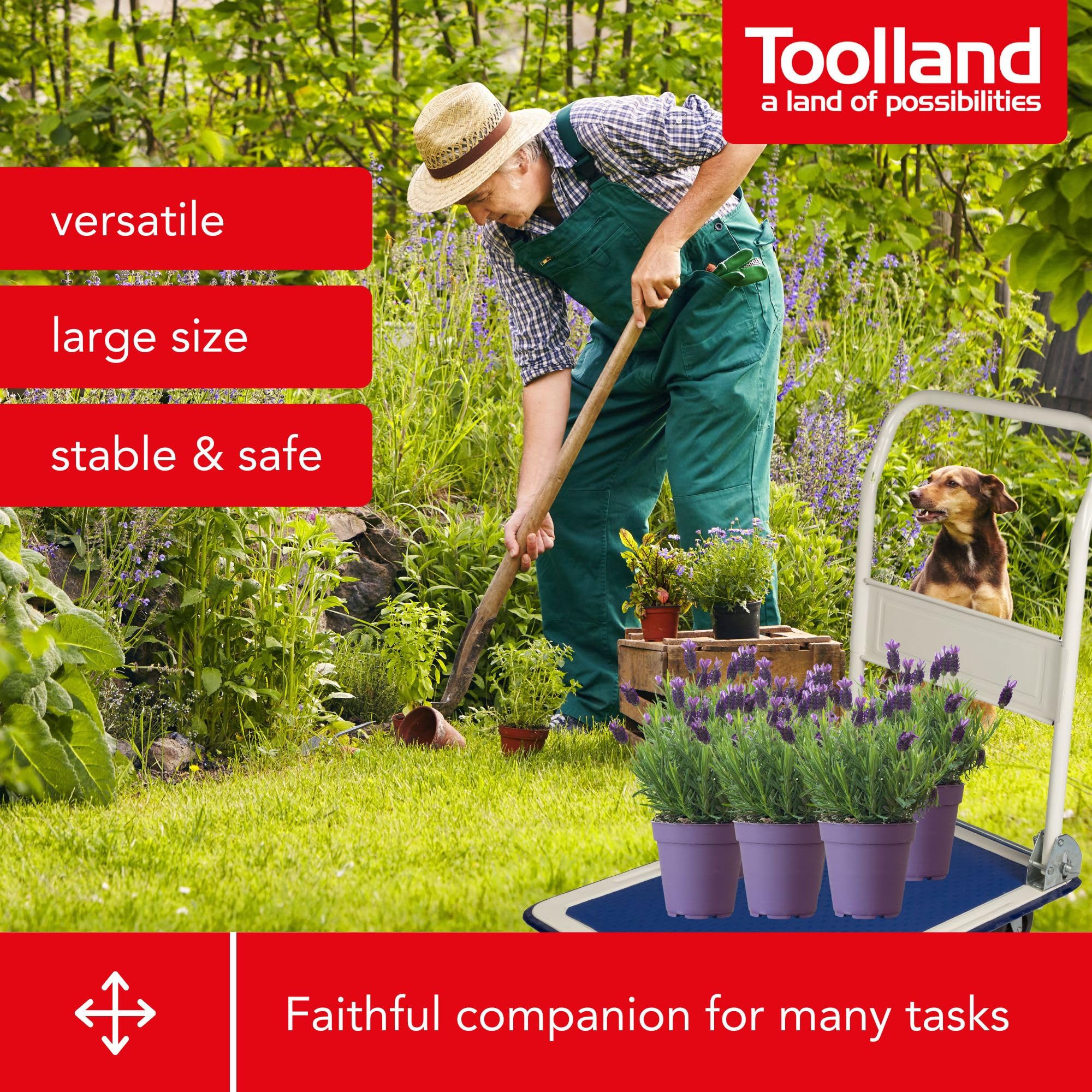 TOOLLAND - QT105 wózek platformowy, wymiary 725 cm x 475 cm x 750 cm, maks. nośność 150 kg 175947