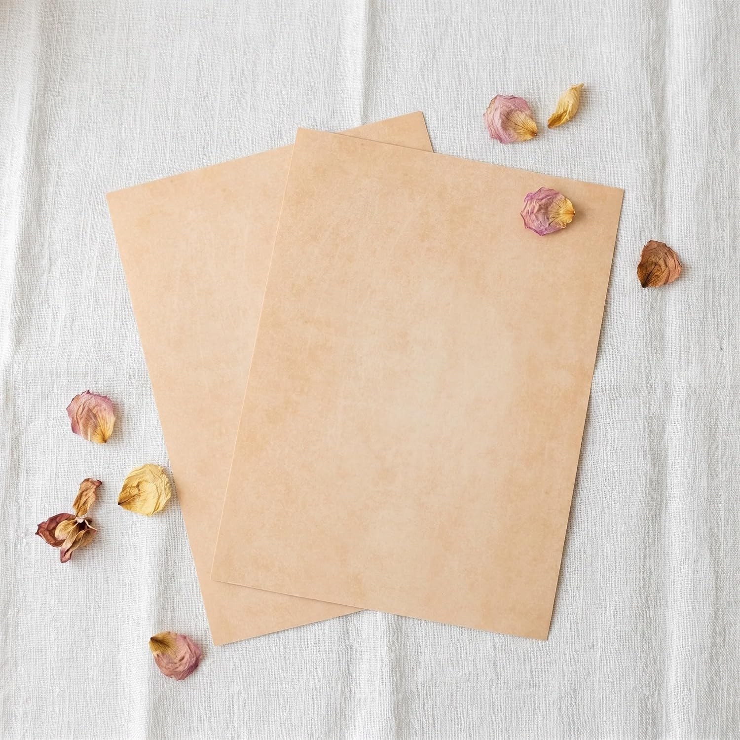 100 Sheets Vintage Parchment Writing Paper, Beige Antique Looking Craft Paper with Smooth Surface for Printing Diplomas, Letter Writing, and Certificates