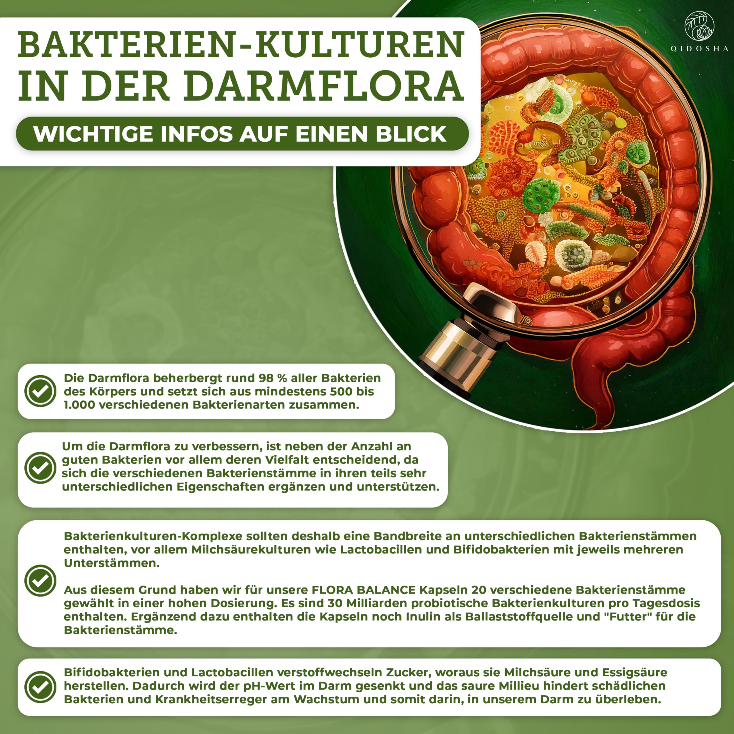 QIDOSHA® Premium Bakterien-Kulturen-Komplex, 180 magensaftresistente Kapseln, 20 Bakterienstämme plus Inulin, hochdosierte 30 Mrd KBE/Tagesdosis, deutsche Fertigung, vegan