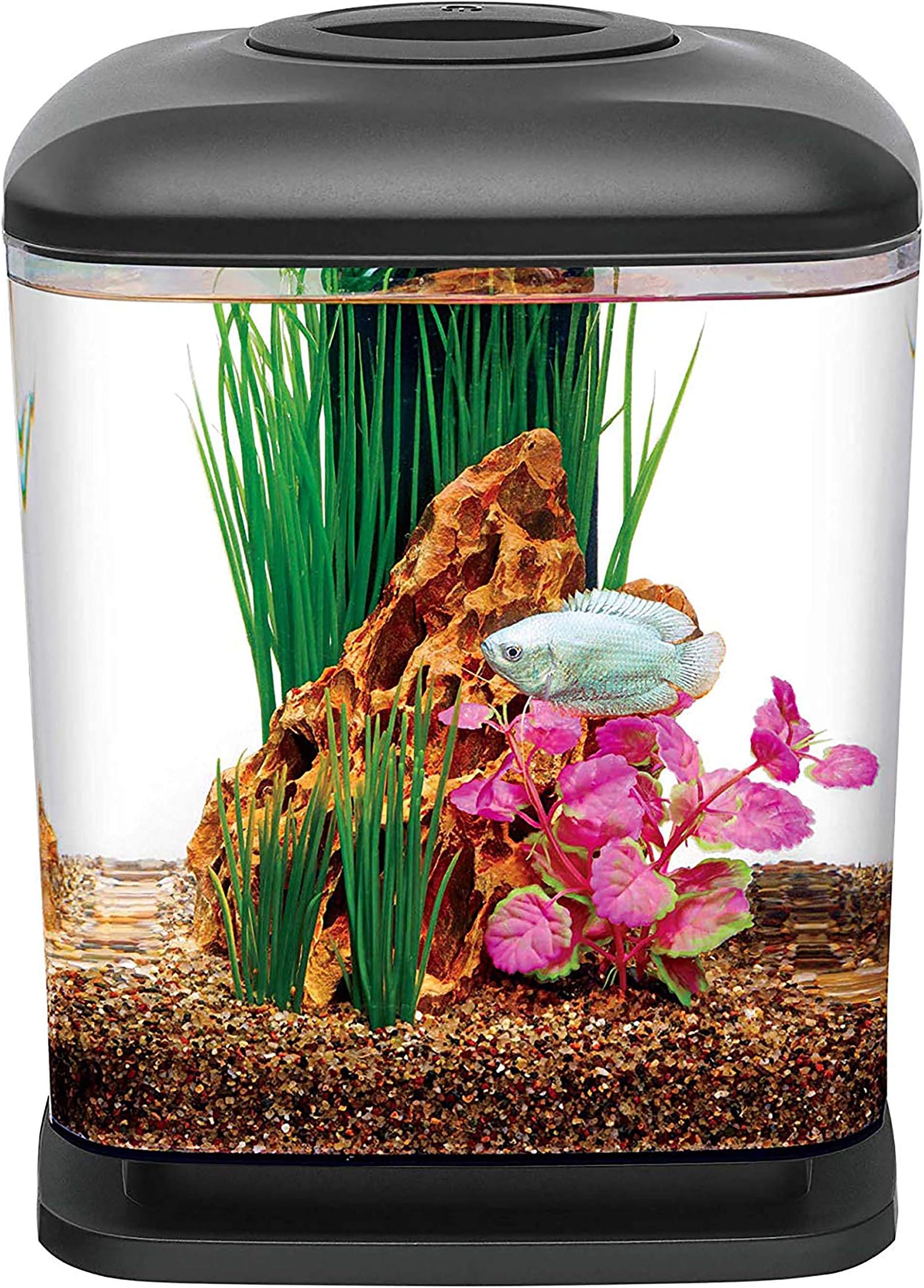 Aqueon Mini Cube Kit Black 1.6 Gallon 1.6 Gallons