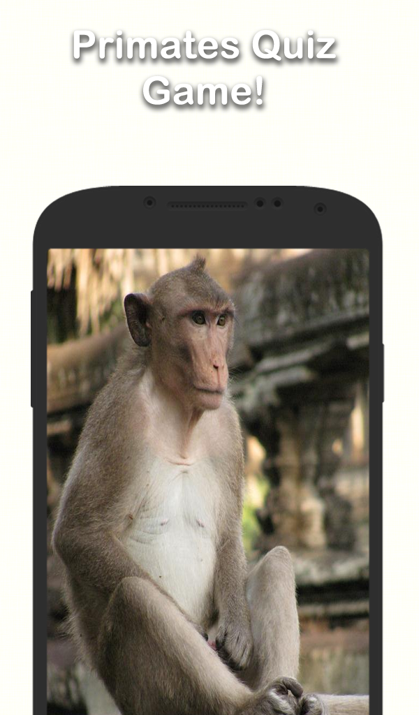 Primate Trivia Questions at stevenfloydo blog